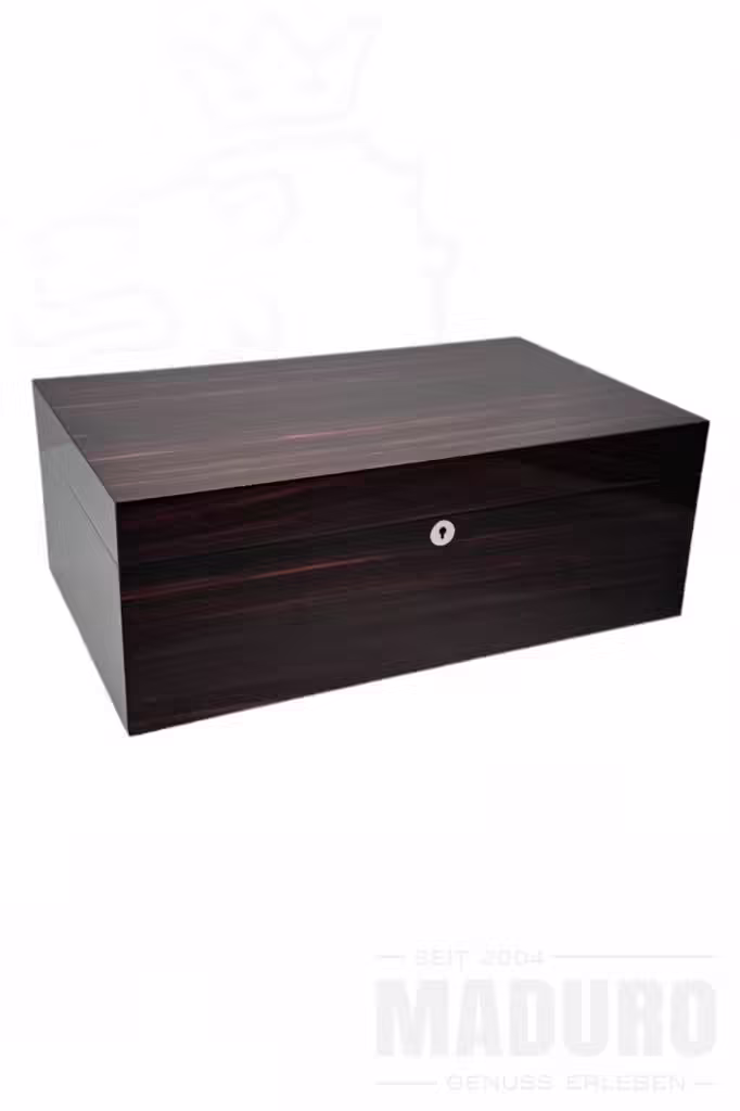 humidor-macassar-glanz-100-Zigarren-maduro