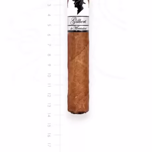 zigarre-gilbert-anniversary-10-gran-robusto-maduro