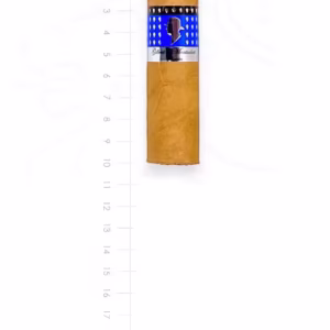 zigarre-gilbert-classic-chunky-maduro