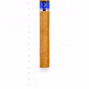 zigarre-gilbert-classic-corona-maduro