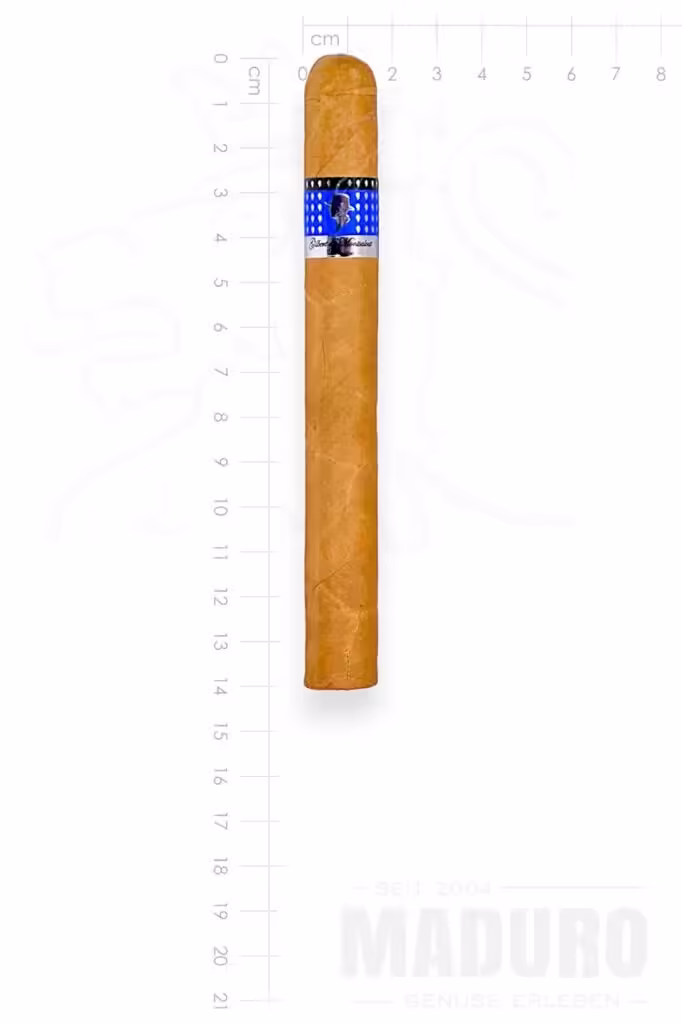 zigarre-gilbert-classic-corona-maduro