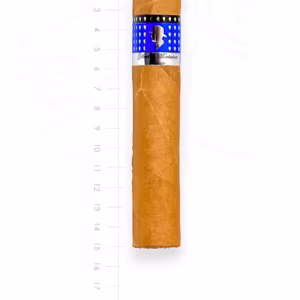 zigarre-gilbert-classic-magnum-maduro