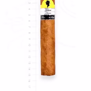 zigarre-gilbert-revolution-style-gordo-maduro