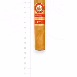 joya-de-nicaragua-antano-ct-robusto-maduro