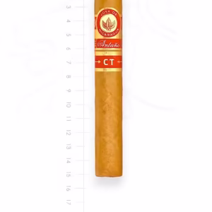 joya-de-nicaragua-antano-ct-toro-maduro