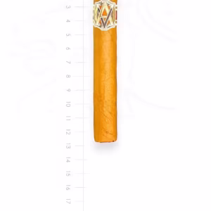 zigarre-avo-xo-noturno-maduro