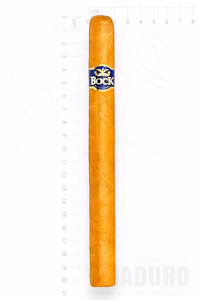 zigarre-bock-doble-coronas-maduro