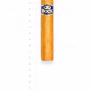 zigarre-bock-robusto-maduro