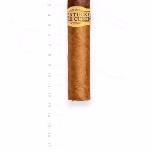 zigarre-kentucky-Fire-cured-fat-molly-maduro
