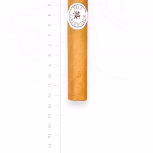 zigarre-the-griffins-robusto-maduro