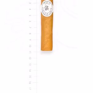 zigarre-the-griffins-short-robusto-maduro