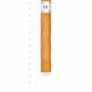 zigarre-vega-fina-corona-maduro