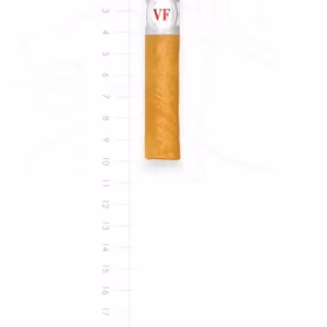 zigarre-vega-fina-perla-maduro