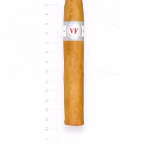 zigarre-vega-fina-piramides-maduro