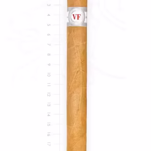 zigarre-vega-fina-prominentes-maduro