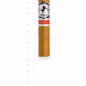 zigarre-esteban-carreras-aged-12-years-robusto-maduro