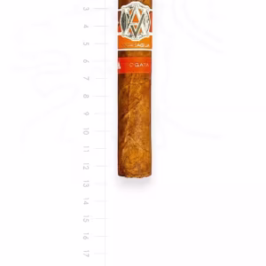 zigarre-avo-syncro-nicaragua-fogata-robusto-maduro