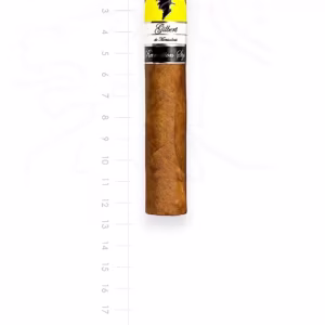 zigarre-gilbert-de-montsalvat-revolution-style-robusto-maduro
