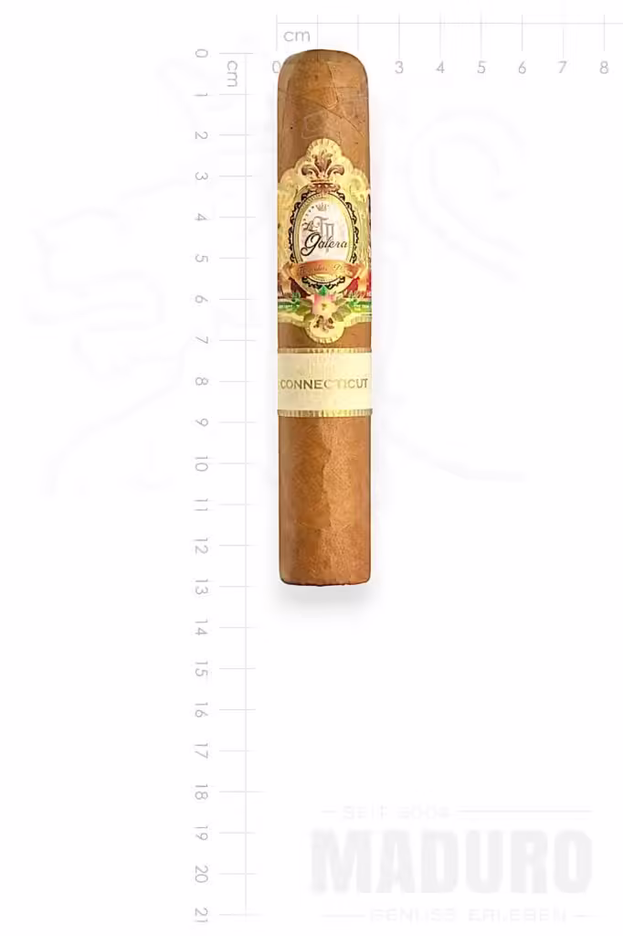 zigarre-la-galera-pilon-maduro