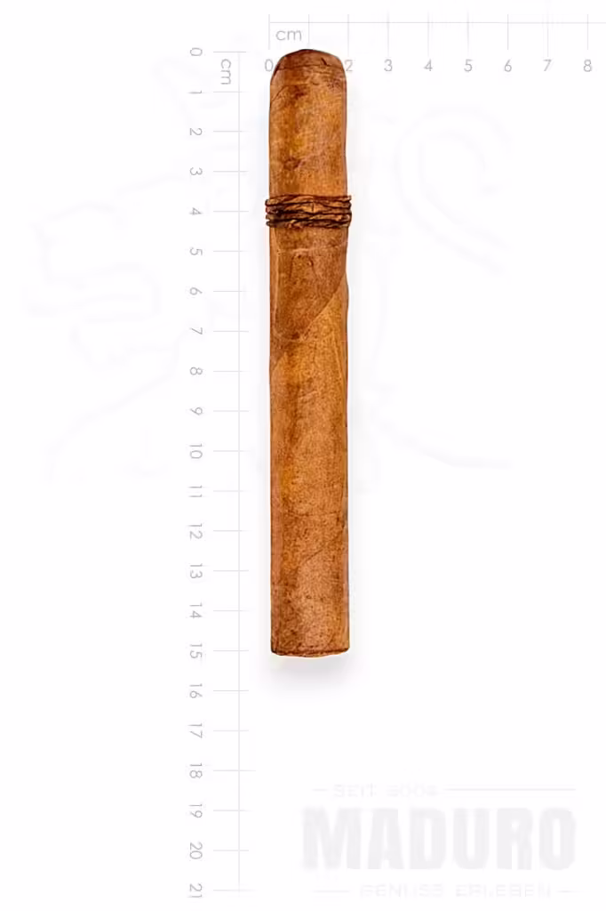 zigarre-cao-amazon-basin-toro-maduro
