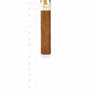 zigarre-davidoff-winston-churchill-petit-corona-maduro