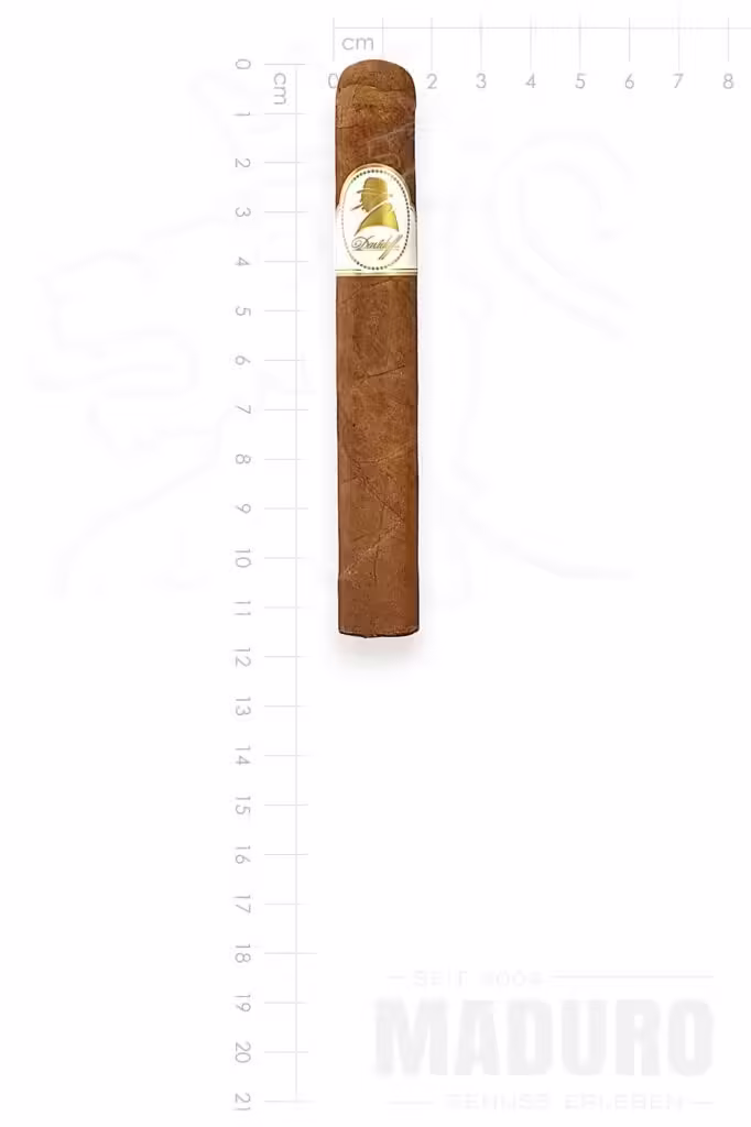 zigarre-davidoff-winston-churchill-petit-corona-maduro