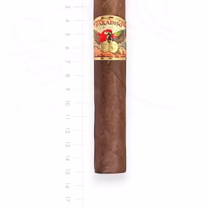 zigarre-paradiso-papagayo-xxl-maduro