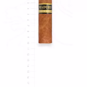 zigarre-maduro-corto-2019